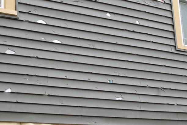 Affordable siding repair and maintenance services in Great Falls, VA